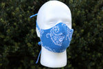 Blue Paisley Face Mask
